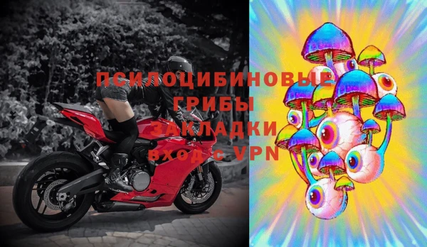 прущие крисы Богородицк